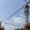 Chinese manufacturer large Crane Tower construction lifting 6013