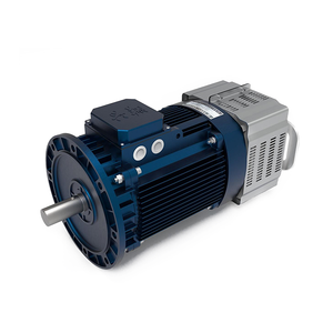 YZE 132 Electromagnetic Braking Three-phase Asynchronous Motor